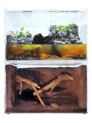 Herpcult Acrylic Reptile Terrarium Gecko Lizard Spider Vivarium Enclosure XLarge