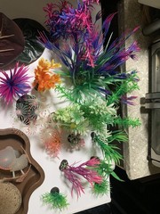 20 gallon terrarium with accessories