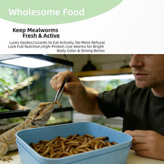 Mealworm Breeding Kit, Live Feeder Worm Farm for Reptiles, Bearded Dragons, Leop