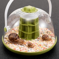 Snail Observation Warehouse Habitat Container Breeding Starter Kit