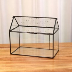 Desktop Glass Display Box with Air Hole Cover for Succulents Plant Pet Viewing