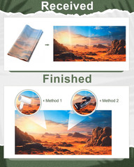 4 Pcs 24 X 11.8 Inch Reptile Habitat Background with Nano Glue Gobi Sun Cactus S