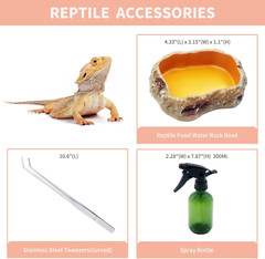 Mini Reptile Terrarium,12″ X7″X 9″Reptile Tank with Full View Visually Appealing