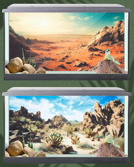 4 Pcs 24 X 11.8 Inch Reptile Habitat Background with Nano Glue Gobi Sun Cactus S