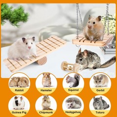 Hamster Toys Set, Guinea Pig Toys Small Animal Chewing Toy and Rat Cage Acces…
