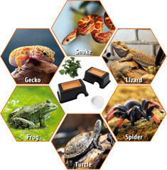 4 Pcs Humid Hide for Leopard Gecko Moist Reptile Hide Box Small Snake