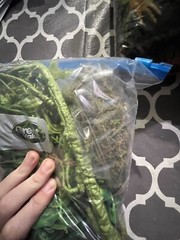 reptile supplies decor