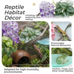 Crested Gecko Tank Decor Kit 5PCS Rainforest Set with Orchid & Plants – Habitat