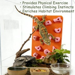 Okueejur Mini Reptile Rock Climbing Wall, Terrarium Enclosure Orange & Pink