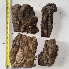 Cork Bark (4 Pieces)