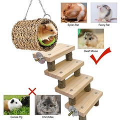 Hamster Climbing Ladder Wood Stair Hanging Hammock Set Molar Toys Cage