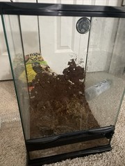 18x18x19 Enclosure For Reptiles With A Space For Amphibians Too tall