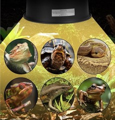 Reptile Light Fixture with Dimmable Switch,5.5 inch Deep for Tank Terrarium