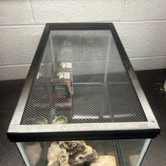 20 Gallon Reptile Terrarium Tank Kit UVB Bulbs Dishes Screen Lid