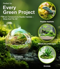 Live Moss Duo Pack 2 Types of Real Live Sheet/Sphagnum Moss for Terrariums, T…