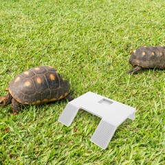 White Floating Turtle Terrace Ramp for Turtle Tank Climbing and Basking Use