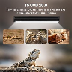 T5 10.0 UVB Reptile Light Fixture, T5 UVA UVB Light Tube Lamp Blub 24W 22″ fo…