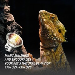 2-Pack 75W UVA Bulbs, Light Turtle Heat Lamp for Reptiles and Amphibian Tanks…