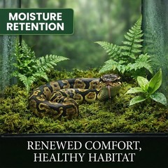 Natural Sphagnum Moss Reptile Bedding, Moisture Retaining Terrarium Substrate