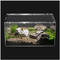 Small Lizard Enclosure – Durable PC Material