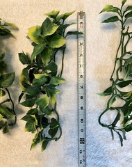 5- Reptile, Snake, Chameleon Vivarium Hanging Plants Artificial Vines Exo-Terra