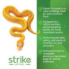 Strike Frozen Rats All Sizes and Quantities- Free S&H! Bundle to Save!