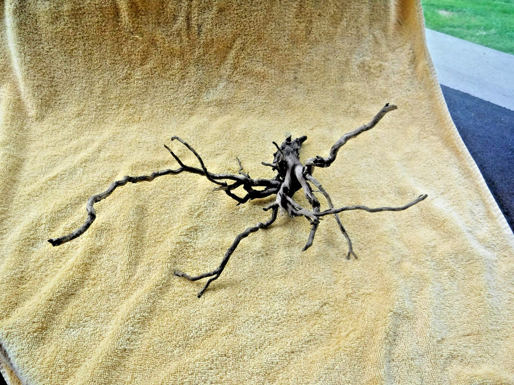 NATURAL SPIDER LIKE ROOT WOOD REPTILE TERRARIUM DECORATION ART GARDEN PET FLORAL