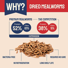 Hatortempt 5lbs Non-GMO Dried Mealworms – Premium Organic 5 Pound (Pack of 1)