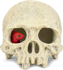 Skull Terrarium Decor Reptile Hideout for Tank(White) | Realistic Resin Skull Hi