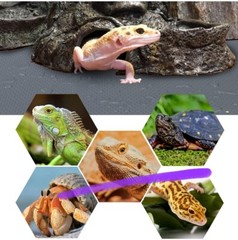 Lot of 2 Bearded Dragon Tank Accessories, Reptile Terrarium Carpet Leopard