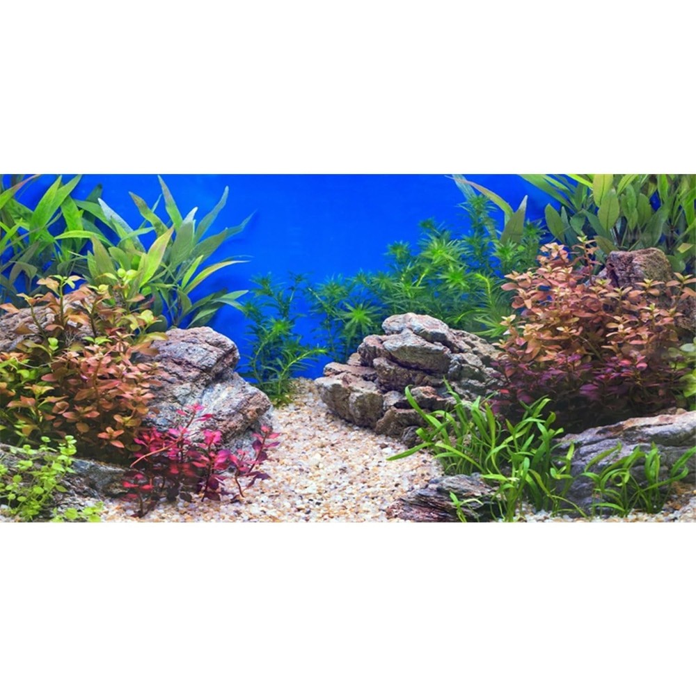 AWERT 30×12 inches Aquatic Plant Fish Tank Background Stone River Bed & Lake …