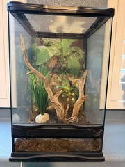 REPTIZOO 135 Gallon Glass Reptile Terrarium Tank, 36″ x 18″ x 48″ Wide & Tall…