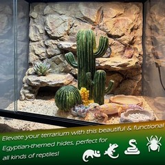 Cactus Leopard Gecko Reptile Décor Hide Geckos Bearded Dragon ​Decoration She…