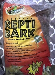 reptile supplies decor