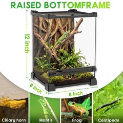 8″x8″x12″ Reptile Terrarium, Single-Door Glass Arboreal Vivarium for Small Ar…