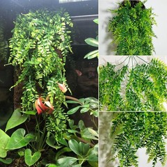 7 PCS Reptile Plants Vine Terrarium Hanging Flexible Climbing Artificial Leaves