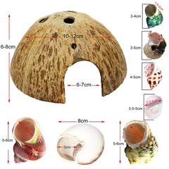 15 PCS Hermit Crab Growth Seashells 7 Types Natural Shells for Fish Tank