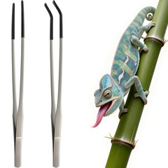 2 Pcs Extra Long Stainless Steel Reptile Feeding Tongs Long, Silver
