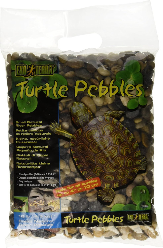 Turtle Pebbles, Small