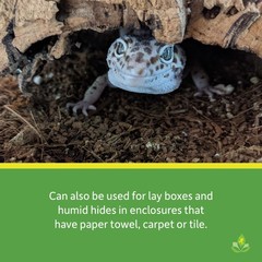 Dig-It (10 Quarts)- Substrate for Burrowing Lizards, Invertebrates, Lay Boxes…