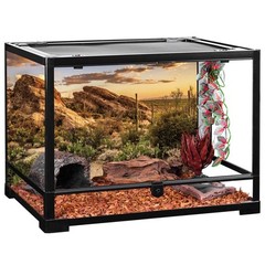 Awert Reptile Habitat Background Blue Sky Oasis Cactus Sun And Desert