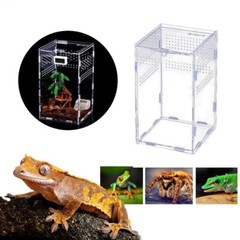 Clear Reptile Feeding Insect Box Acrylic Container Lizards Spider Breeding Case