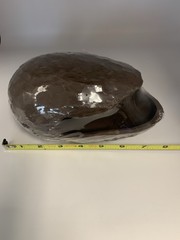 Reptile Treasures Ceramic Egg Hide Medium Size Brown Color Realistic Look New