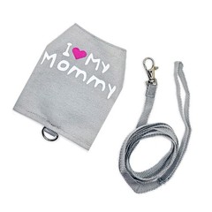 Reptiles Walking Harness Leash Set for Small Animals Glowing Reptiles Harness