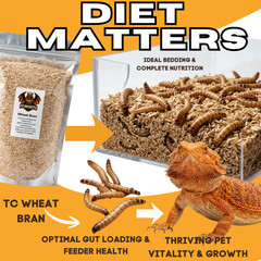 10 lb Wheat Bran for Mealworms & Superworms Food Bedding Free Shipping