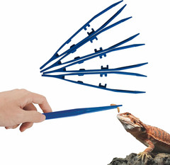 Pinzas alimentacion reptiles 4 pack antideslizantes azules para lagartos y mas