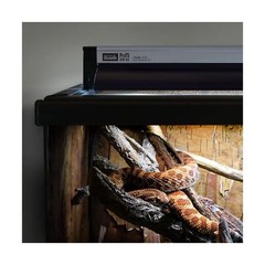 Arcadia Reptile Pro T5 UVB D3+ Forest 6%UV-B 24 inch Single Lamp Kit