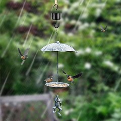 Large an.t Moat for Hummingbird Feeders, 2 Pack Black Hummingbird Feeders Par…