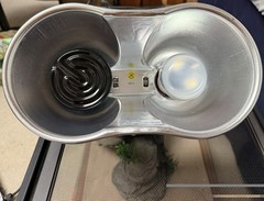 Reptile 20g tank w/supplies
