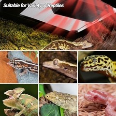 Reptile Heat Panel Adjustable Temperature Reptile Heating Plate, Non-Light He